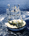 Buoy Image