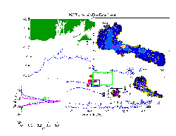 1997 fluorescein experiment