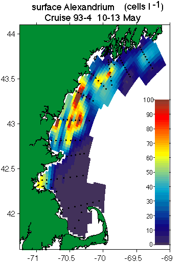 Alex cell distribution 2