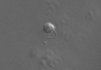 s106111