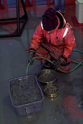 Pam with sieves