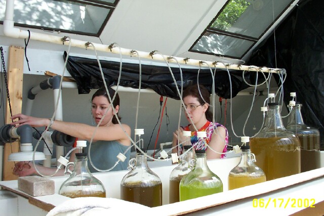 Amandine
and Ann
