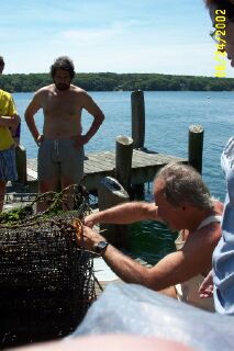 shellfish cage