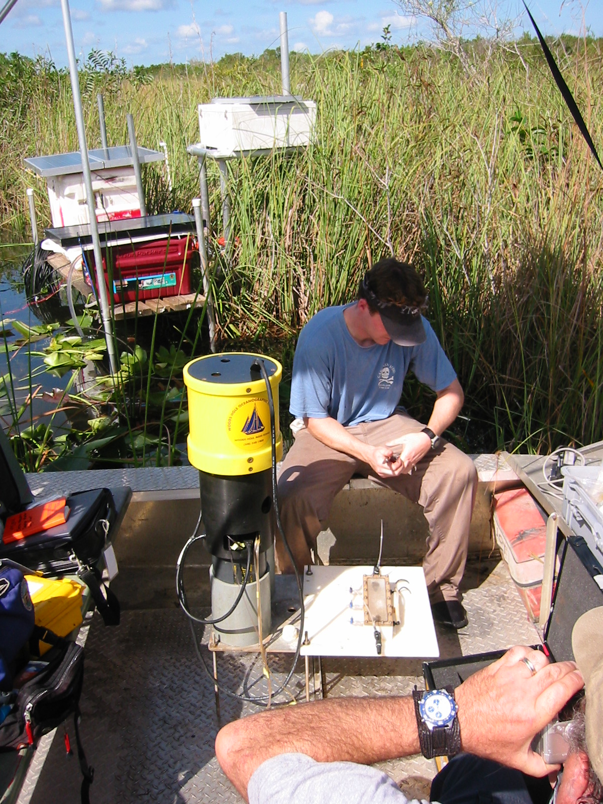 Seepage in the Everglades