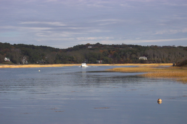 High Tide on the Pamet