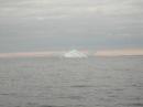 DSCN1256 * 2048 x 1536 * (829KB)