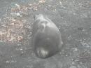 DSCN0997 * 2048 x 1536 * (1005KB)