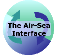 The Air-Sea Interface