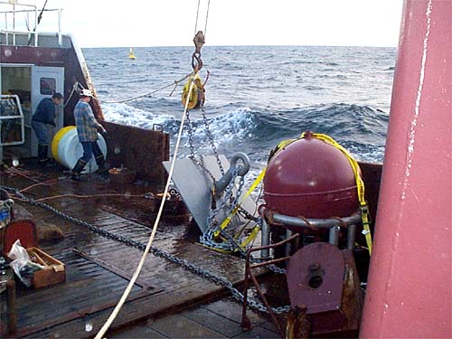 Getting ready for the deployment of the longline