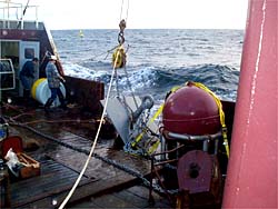 Getting ready for the deployment of the longline