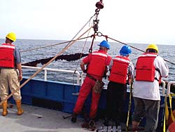 Inspection of the longline