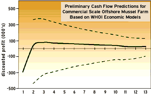Cash Flow Predictions for Commercial Scale Offshore Mussel Farm