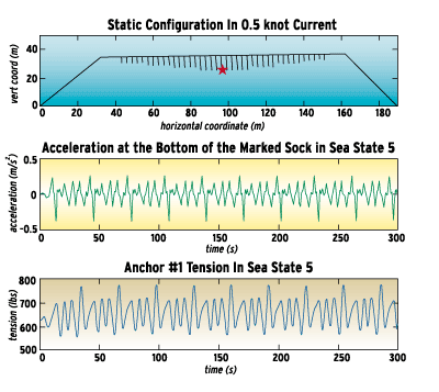Examples of Hydrodynamic Modeling of the Mussel Long-line