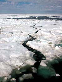 ice  crack