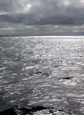 shiny seas