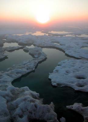 early morning sun illuminats the ice