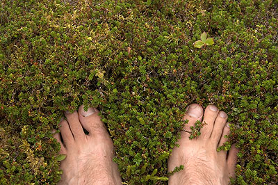 Happy feet