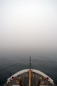 Fog