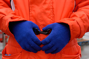 Gloves