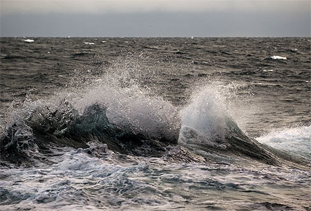 Waves