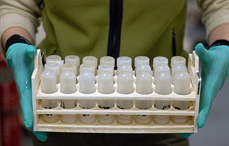 Nutrient bottles