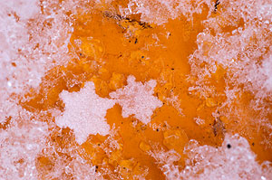 Flakes