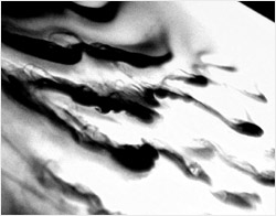 three-dimensional waves