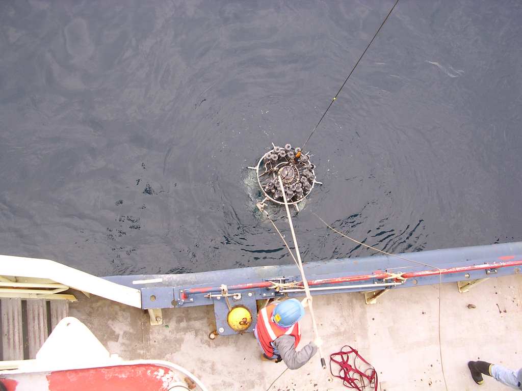 hooked