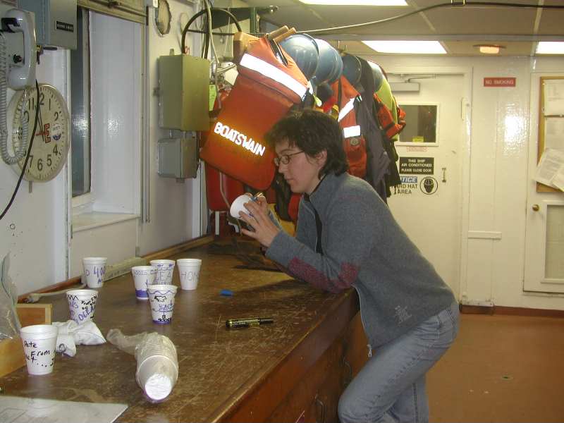 cups2