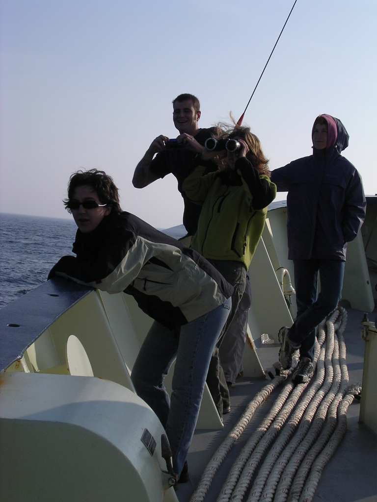 whale_watch