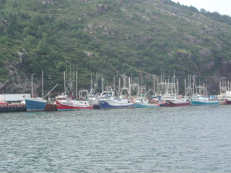 boats