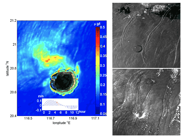 biologic cycle at Dongsha Reef influenced by internal wave processes