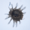 small polynoid