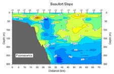 Fluorescence data from the Beaufort slope