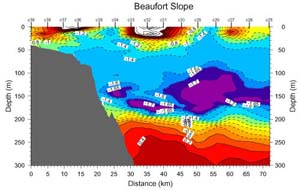 	A sample temperature section across the Beaufort slope