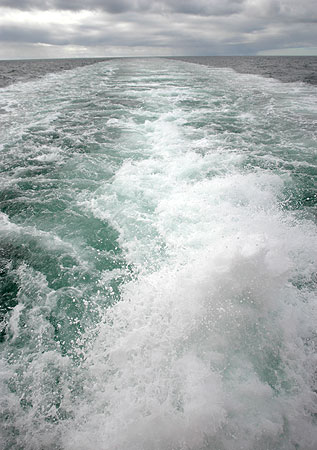 Wake