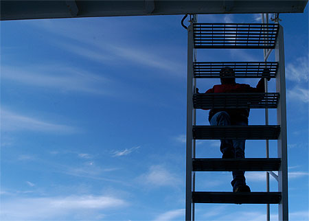 Ladder