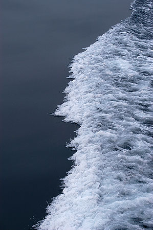 Wake