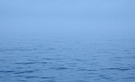 Fog