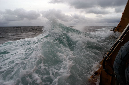 Surge