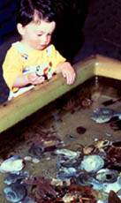 Child at Aquarium