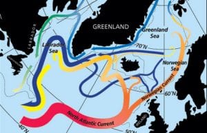 North Atlantic's Transformation Pipeline Chills and Redistributes Subtropical Water