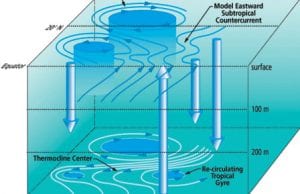 The El Niño/Southern Oscillation Phenomenon