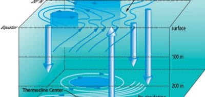 The El Niño/Southern Oscillation Phenomenon
