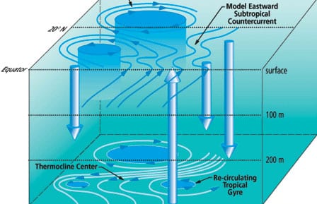 The El Niño/Southern Oscillation Phenomenon