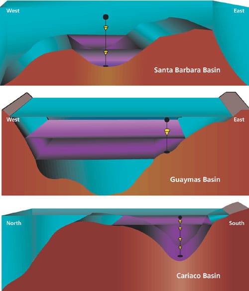 cross sections