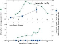 Iron fertilization graph