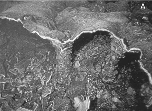 ImageA_3399.jpg