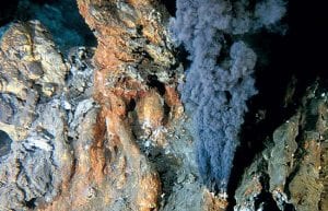 The Remarkable Diversity of Seafloor Vents