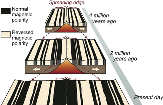 Paving The Seafloor Brick By Brick Woods Hole Oceanographic